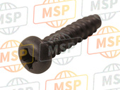 920091966, Screw, Tapping, 4X16, Kawasaki