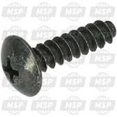 920091993, Screw, Tapping, 5X20, Kawasaki, 1