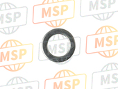 920221028, Washer,8.5X13X1, Kawasaki