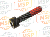 921501491, Tornillo 6X20, Kawasaki