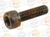 921501795, Bolt,Socket,6X20, Kawasaki