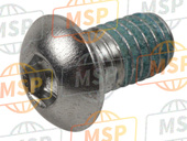 921501577, Bolt,6X10, Kawasaki