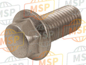 921511511, Bolt, Flanged, 10X20, Kawasaki