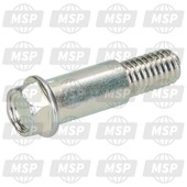 921530807, Bearing Bolt, Kawasaki