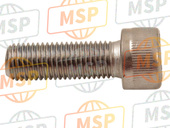 921531524, Bolt, Socket, 10X30, Kawasaki, 2