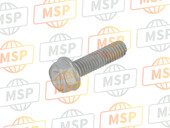 921541069, Bolt,Flanged,6X22, Kawasaki, 1