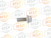 921542314, Bolt, Socket, 8X20, Kawasaki, 2