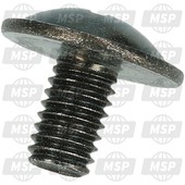 921720005, Screw, 6X10, Kawasaki, 2