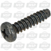 921720009, Screw, Tapping, 5X20, Kawasaki, 1