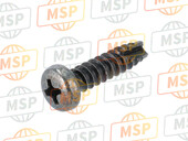 920091906, Screw, Tapping, 5X20, Kawasaki