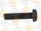 921720069, Screw, 5X20, Kawasaki, 2