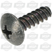 921720175, Screw, Tapping, 5X16, Kawasaki