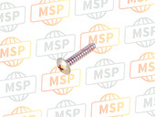 921720772, Screw,Tapping,5X25, Kawasaki