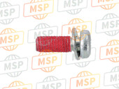 921720976, Screw, 5X14, Kawasaki, 2