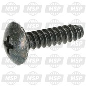 921720483, Locking Screw, Kawasaki