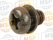 92172S322, Screw,Muffler Tail KSF50A6F, Kawasaki, 1