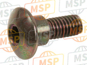 92172S175, Screw, Guard, Kawasaki