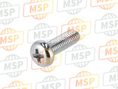 92172Y042, Screw,5X16, Kawasaki