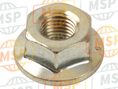 922101325, Nut, Flanged, 10mm, Kawasaki