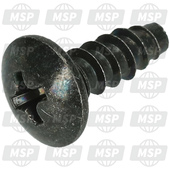 035410412B, Locking Screw, Suzuki