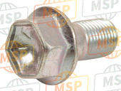 0910312005, Bolt 12X55, Suzuki