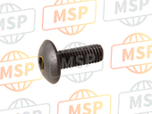 0913905024, Screw, Rear (5X14), Suzuki