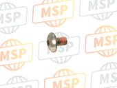 0913906078, Screw, Under Rear (6X10), Suzuki