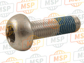 0913910005, Screw, M10X21, Suzuki