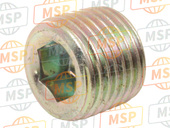 0924605001, Plug (1/8PT,H:8), Suzuki