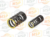 1292038A00, Spring Set, Valve, Suzuki