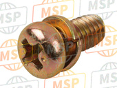 1360115F10, Screw, Suzuki