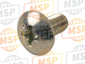 1360204F00, Screw, Suzuki