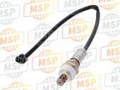 1821348G20, Sonde, Suzuki