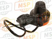 3560138210999, Lamp,Front Turn Signal Rh, Suzuki, 2