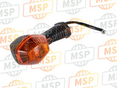 3560216G10, Indicatore Direzione Ant.Sx, Suzuki