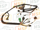 3661013F10, Harness,  Wiring GZ250/W, Suzuki