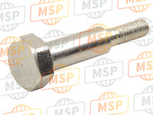 5743102E10, Bullone, Suzuki