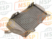 17D1240A5000, Radiator Assy, Yamaha