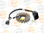 1B9H14100000, Stator Complet, Yamaha