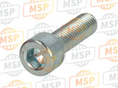 1D4F31810000, Bolt,Cyl. Passend, Yamaha