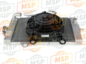 1PEWE2460000, Radiator Assy, Yamaha, 2