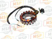 3D9H14101100, Stator Complet, Yamaha