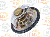 3GM124100100, Thermostat Assy, Yamaha, 2