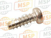 3GM841921000, . Screw, Special, Yamaha, 2