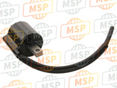 4SS823100200, Ignition Coil Assembly, Yamaha, 2