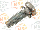 5EUE42160000, Screw, Yamaha, 2