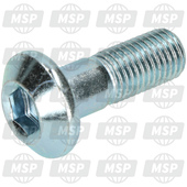 901091001300, Bearing Bolt, Yamaha