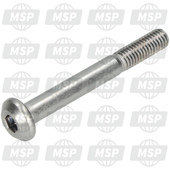 901110800600, Bearing Bolt, Yamaha