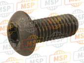 901490500100, Screw, Yamaha, 1