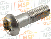 901571000100, Screw, Pan Head, Yamaha